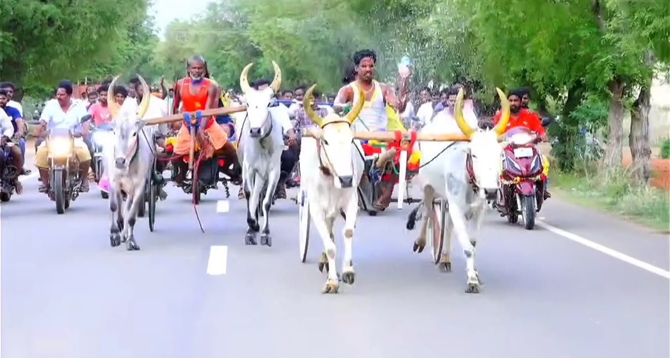 கொல்லங்குடியில் களைகட்டிய மாட்டு வண்டிப் பந்தயம்