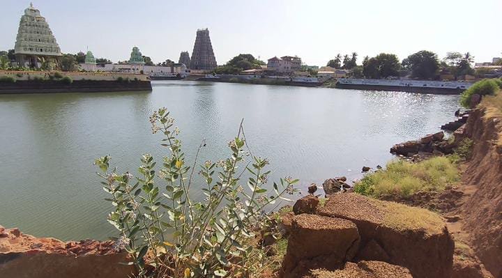 காளையார்கோவில் கோவில் குளம் கழிவு நீராக மாறும் அவலம். சுத்தப்படுத்த பொதுமக்கள் கோரிக்கை